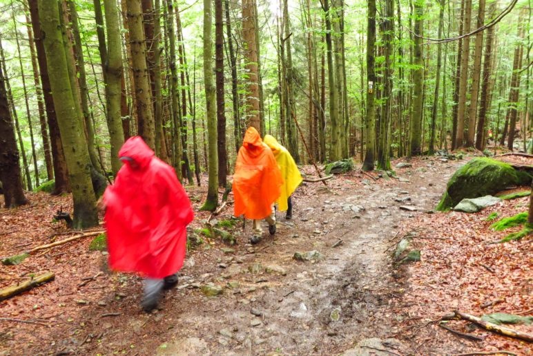 Auf dem Weg zum Rachelsee haben wir bunte Waldwichtel getroffen