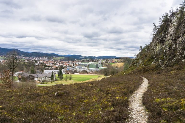 Blick zurück nach Viechtach