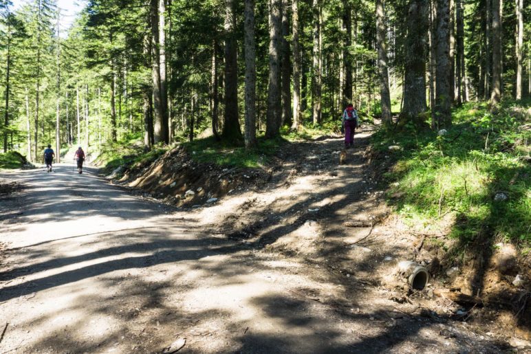 Der unbeschilderte Abzweig auf den Bergsteig zur Schuhbräualm