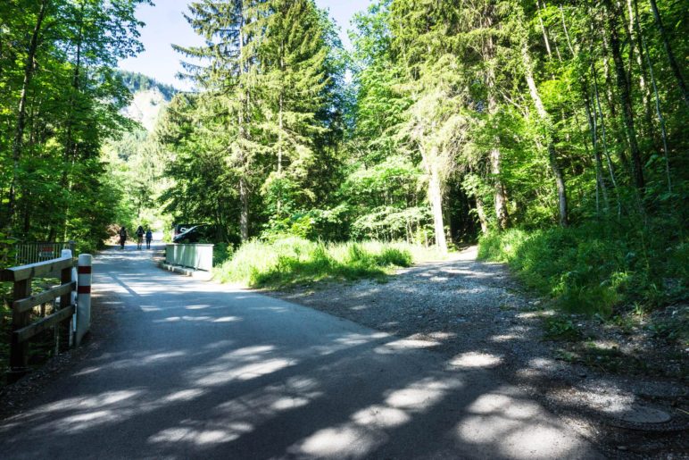 Abzweigung: Links der langweilige Fahrweg, rechts der kurzweilige Bergsteig