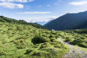 Blick zur Adolf-Pichler-Hütte