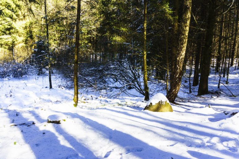 Am ersten Toteiskessel im Wald