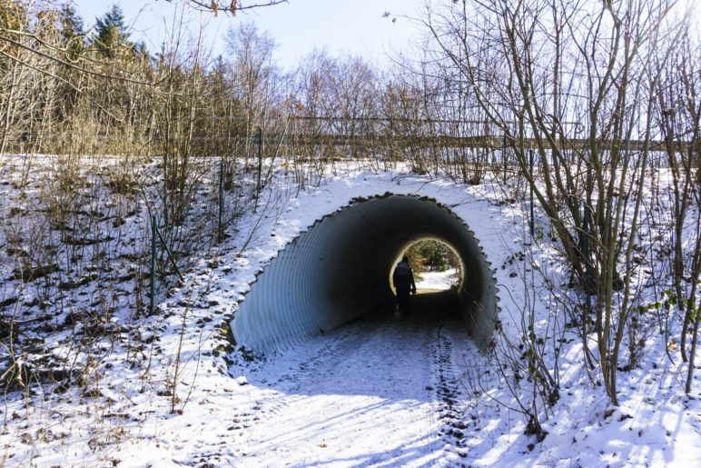 Durch den Tunnel unterqueren wir die Bundesstraße