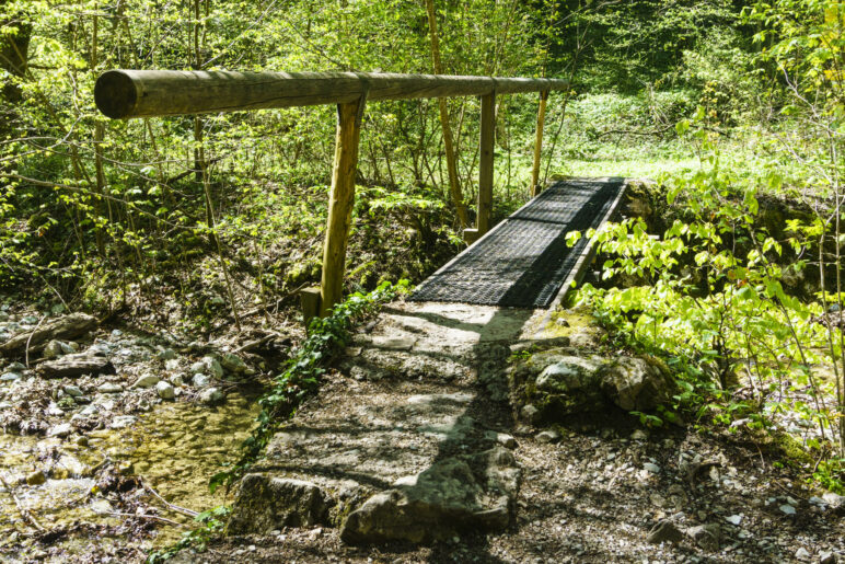 Eine kurze, schmale Brücke im Wald