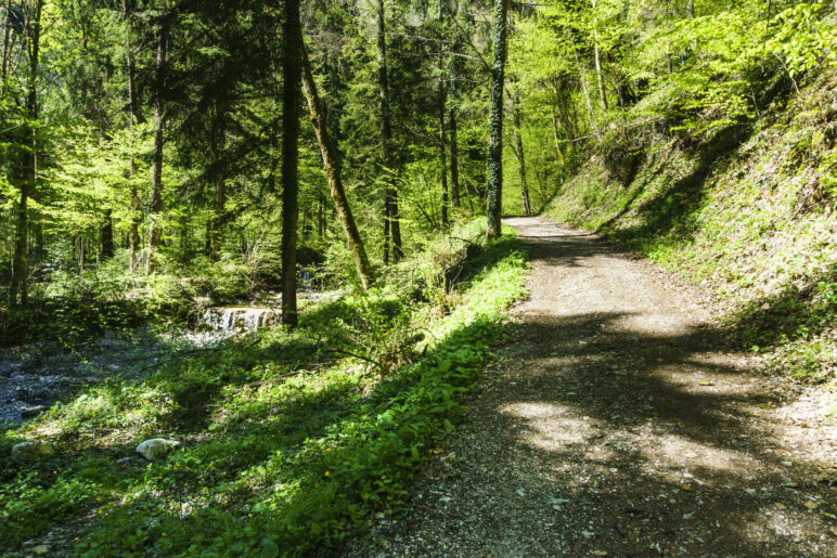 Am Bach entlang führt der Weg leicht bergauf