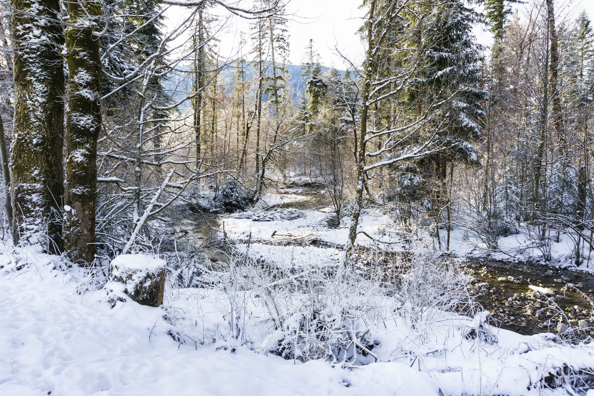 Wandern entlang der Kleinen Laine