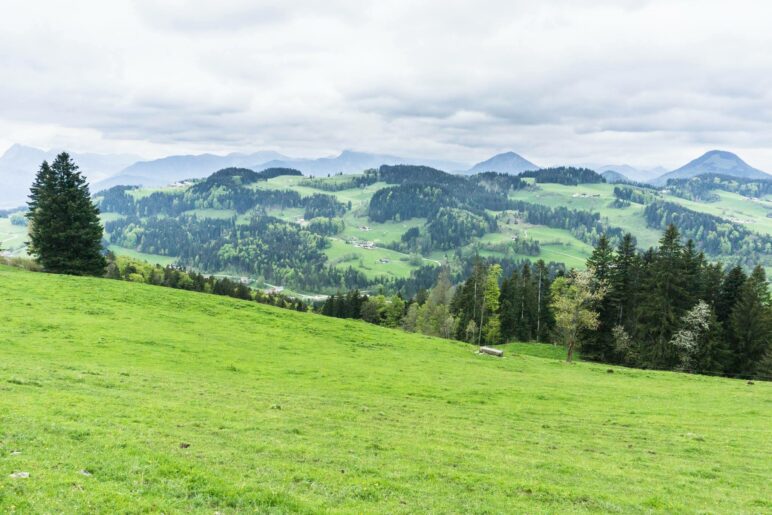Ein Blick hinüber nach Bayern. Rechts im Bild ist das Kranzhorn.