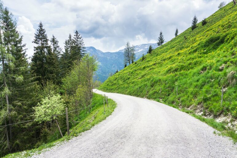 Der Abstieg von der Feilalm, zunächst auf dem breiten Fahrweg