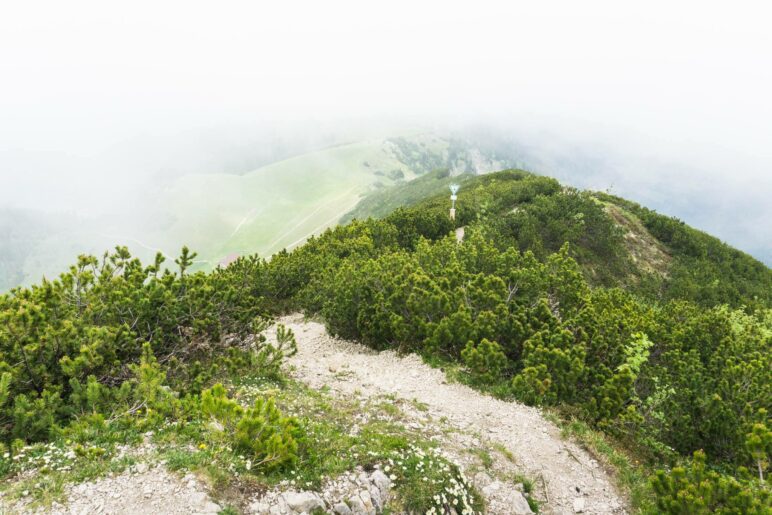 Ein Blick vom Gipfel auf den Aufstiegsweg und auf die Jägerbauernalm