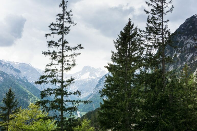 Ein Blick ins Falzthurntal