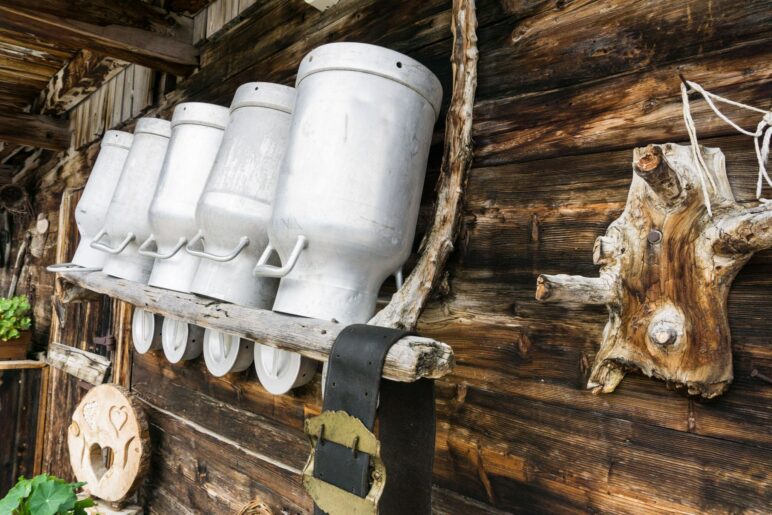 An der Feilalm. Ein Detail von der alten Almhütte.