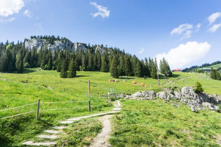 Die Krettenburg, ein beliebter Kletterberg