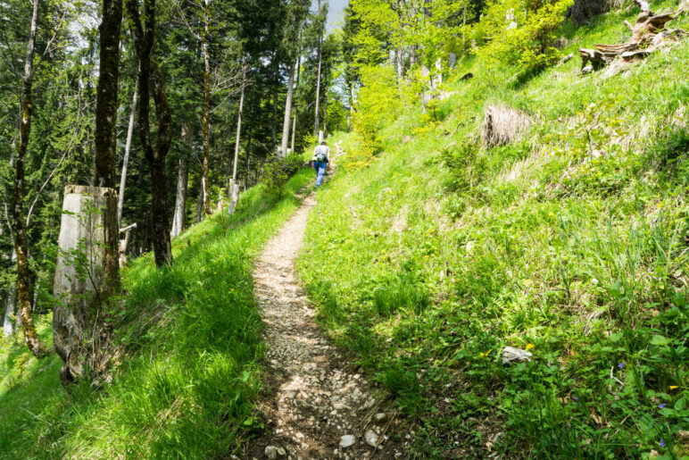 Auf dem schmalen Bergsteig