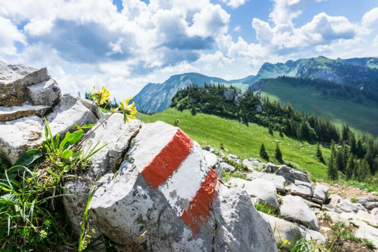 Eine Wegmarkierung auf einem Felsen