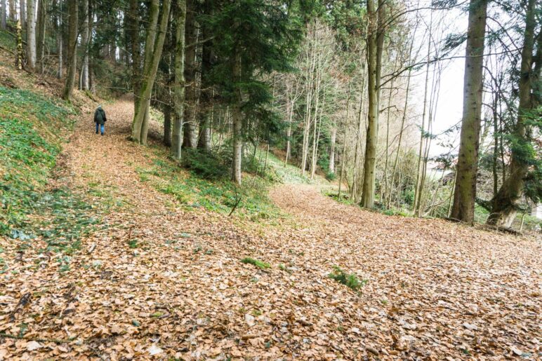 An diesem Abzweig führt der Weg links steil bergauf