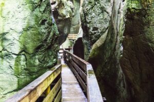 Der Steg schlängelt sich durch den vom Bach vorgegebenen Weg