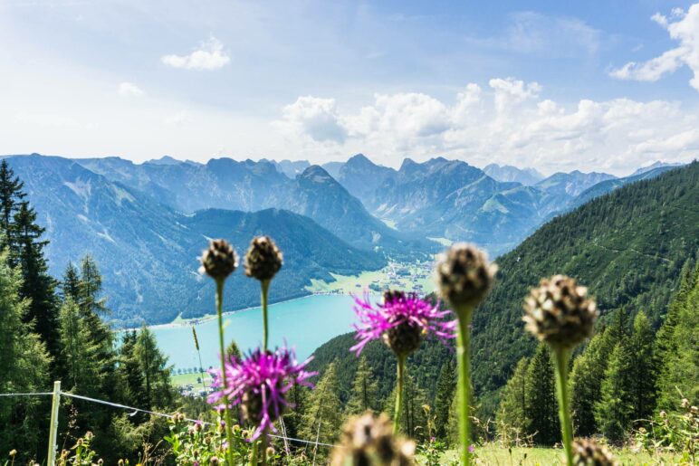 Die Wanderung bietet immer wieder tolle Blicke auf den Achensee und ins Karwendel, wie hier ins Falzthurntal