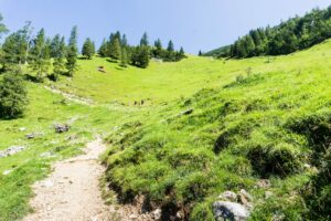 Aufstieg über den Weg, der sich durch die Almwiesen windet