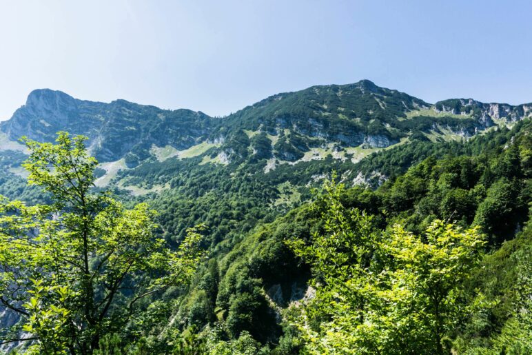 Blick zum Karkopf, dem höchsten Berg des Lattengebirges