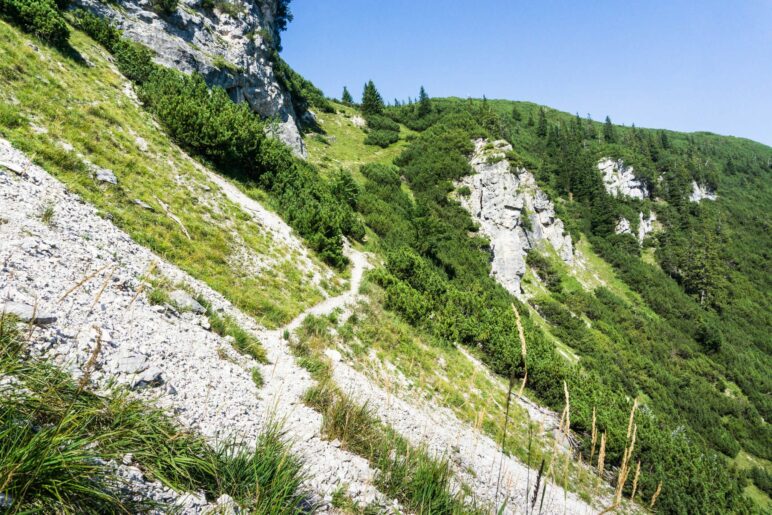 Im Aufstieg zum Dreisesselberg und Karkopf passieren wir ein Schotterfeld