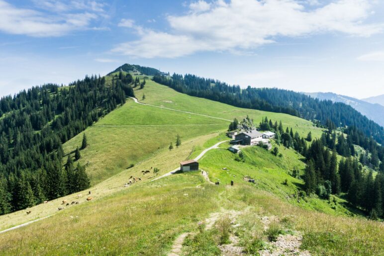 Ein Blick zurück zum Wallberg