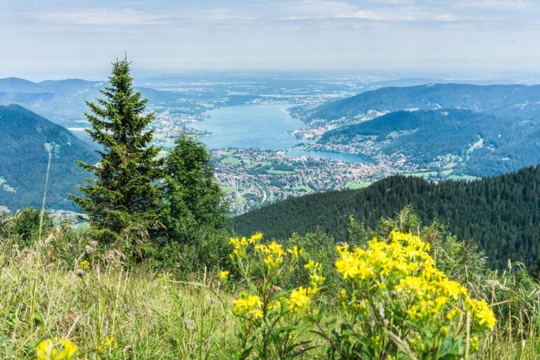 Der Blick hinunter auf den Tegernsee und vielleicht bis nach München