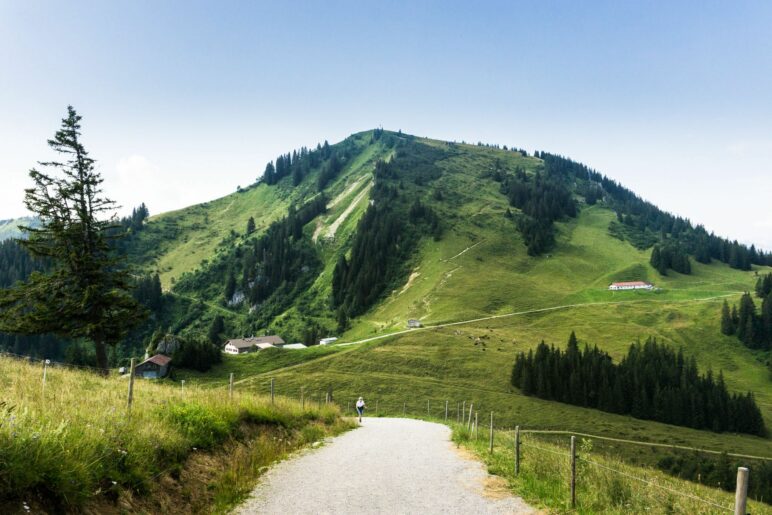 Auf breitem Weg geht es bergab in Richtung Wallberghaus und Setzberg