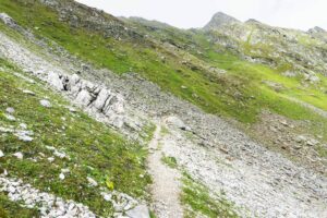 Am Übergang ins Wiesengelände